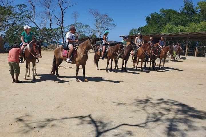 Roatan Excursion: Horseback Ride / Plus Sloth Park and Beach Break