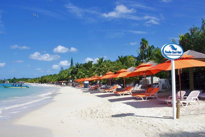 Roatan Excursion: Horseback Ride / Plus Sloth Park and Beach Break