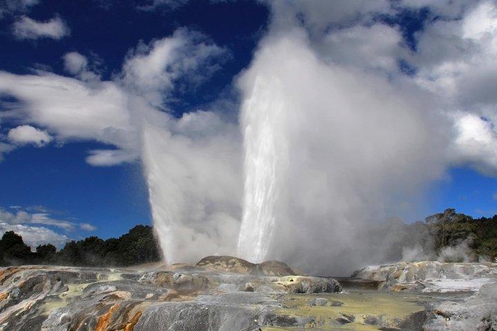 4Day/3Nights Wellington to Auckland Tour