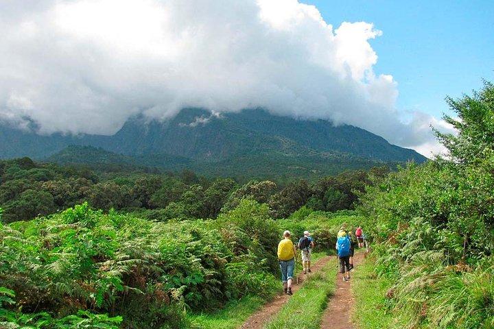 6 Days Mount Kilimanjaro Shira Route