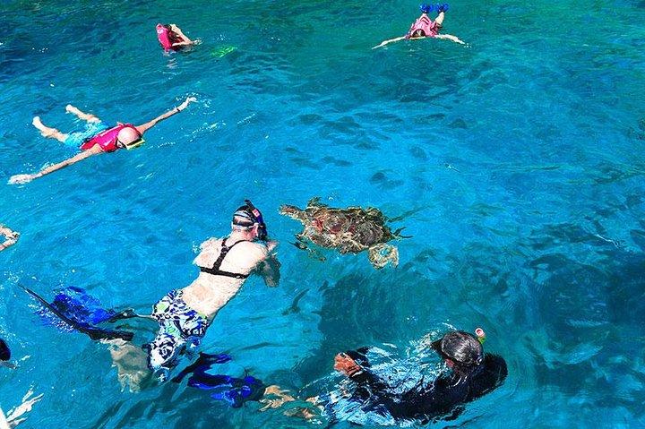 Similan Islands One Day Tour From Khao Lak