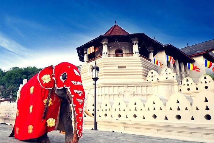 Colombo Airport to Kandy ( Private arrival transfer)