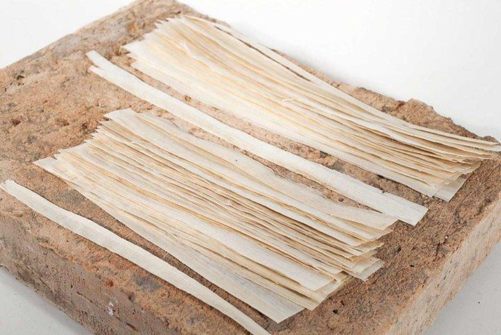Papyrus Manufacturing Tour And Learn Papyrus making in Egypt