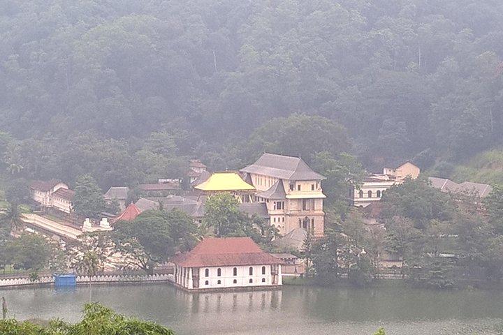Colombo to Kandy Private Day Tour