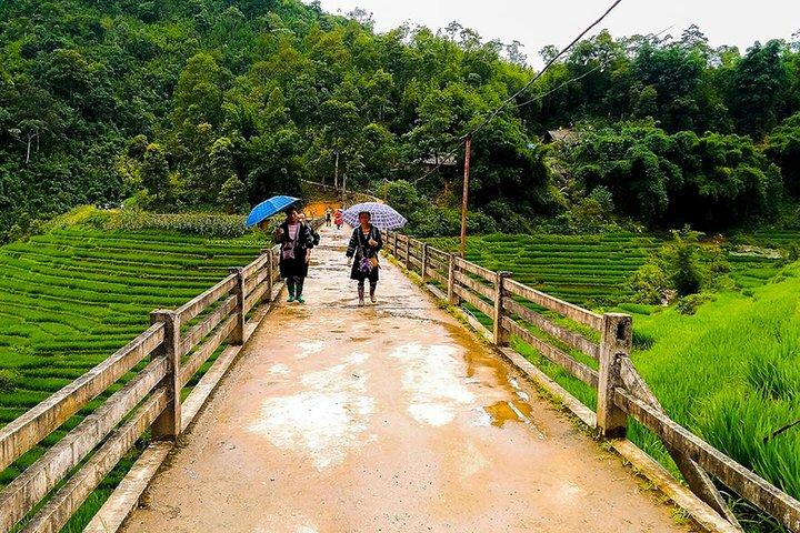 Rice Terraced Fields & Homestay Experience– 2D 1N