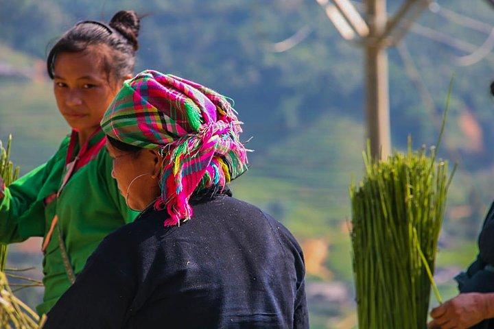Rice Terraced Fields & Homestay Experience– 2D 1N