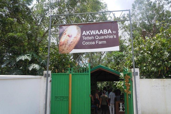 Ghana : Accra: Botanical Gardens, Cocoa Farms, Waterfalls Trip