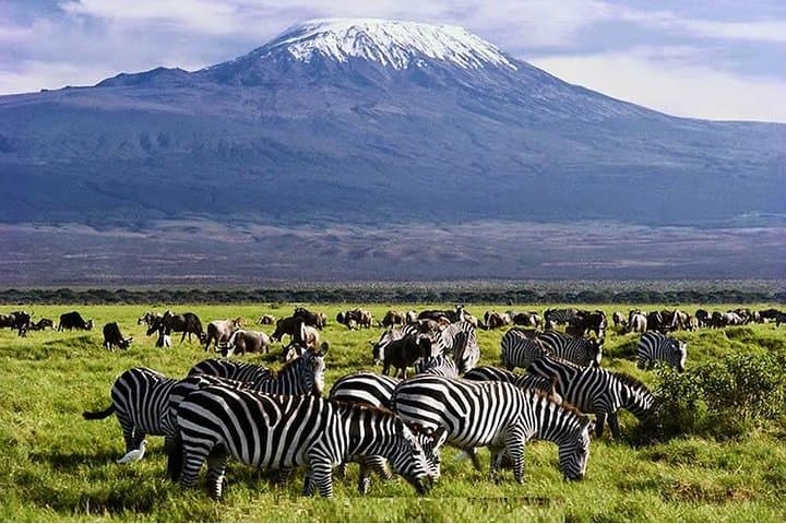 13 Days Masai Mara Serengeti Wildlife Safari
