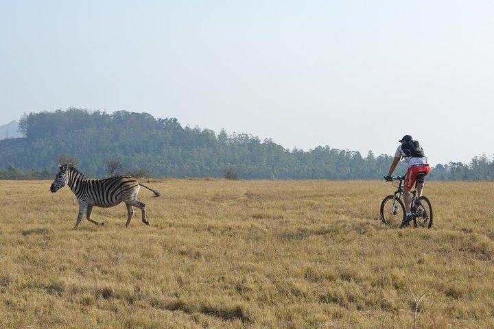 Cycling Lake Manyara