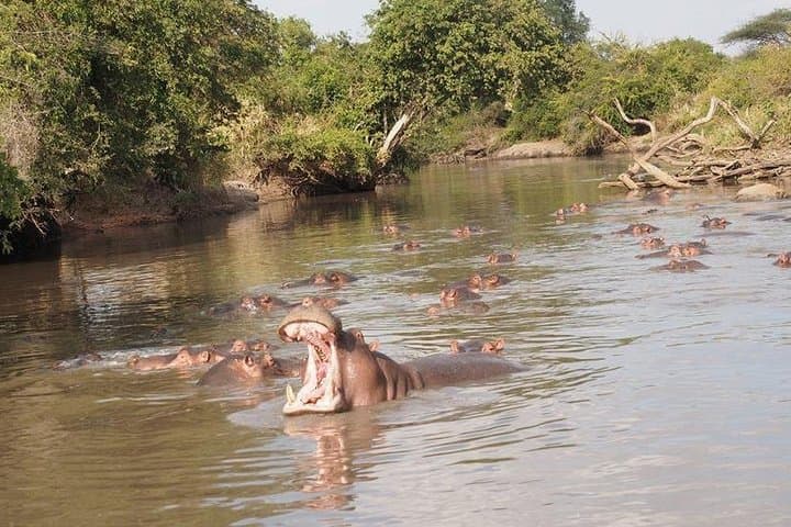 8 Days Kenya Wildlife Tour Safari