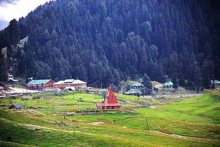 Trip to Beautiful Gulmarg from Srinagar City.