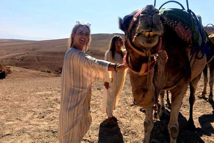 Agafay desert: Camel Ride, Quad Bike, Magical Dinner and Show