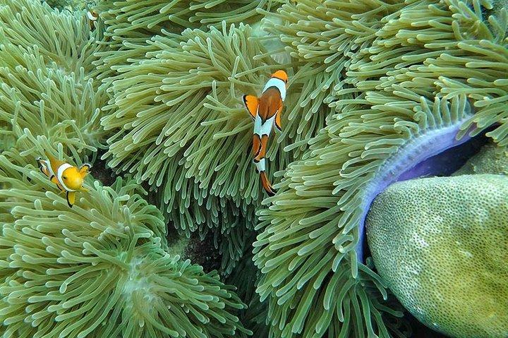 Lanta 4 Islands + Emerald Cave Snorkeling Tour