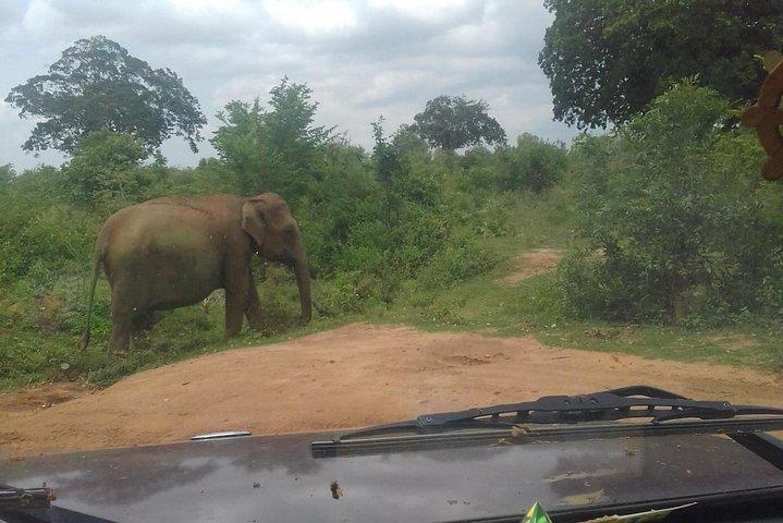 Sri Lanka Experience - 12 Days Private Tour