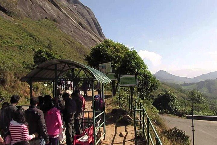 Private Day Trip to Munnar from Kochi (Cochin)