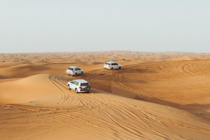 Morning Desert Safari