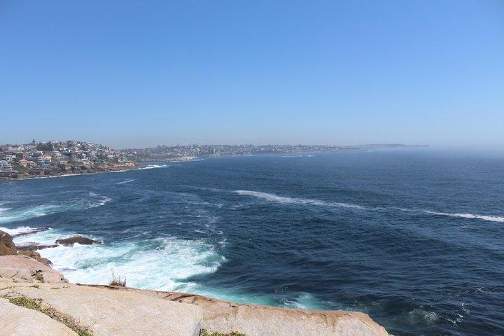 Sydney Shore Excursion: Half-Day Sydney City Highlights with Bondi Beach and Watsons Bay