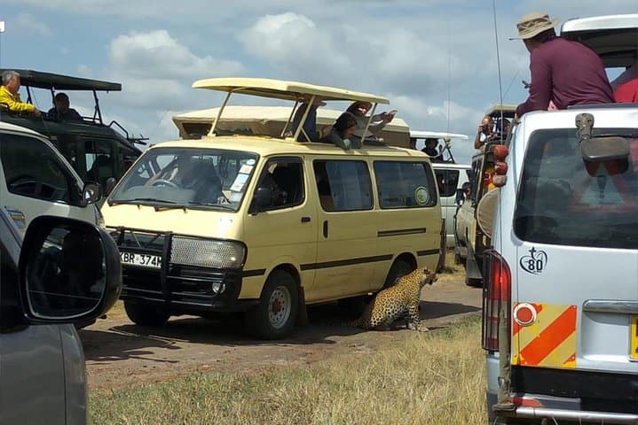 3 days/2 nights budget-group joining Masai Mara Safari