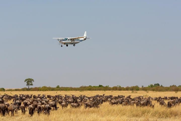8 Days Ultimate Kenya Flying Safari Holiday