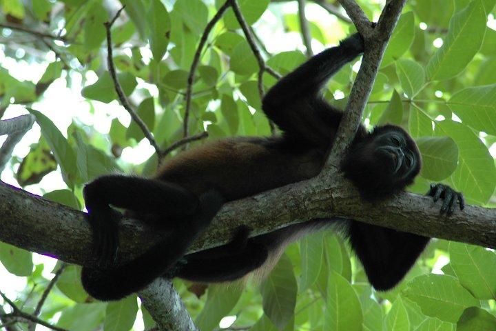 Manuel Antonio National Park Guided Tour