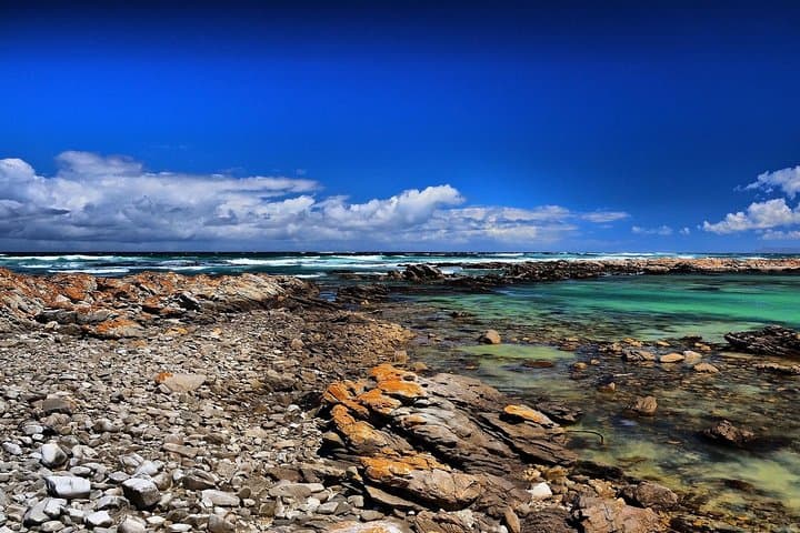Cape Agulhas | Stony Point Nature Reserve