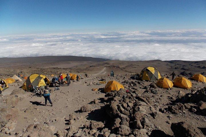 7 Days Mount Kilimanjaro- Marangu Route