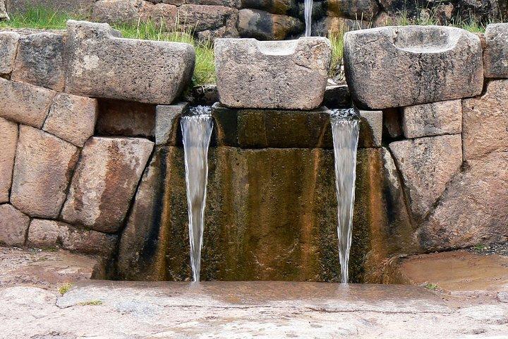 City Tour in Cusco & visit Museum South American Camelid