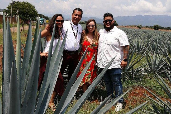 Great Experience With A Tour Guide With Spark