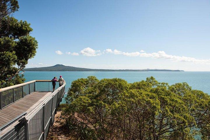 Discover Auckland City Tour: The City of Sails