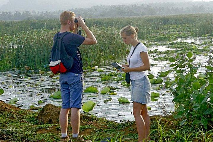 Village Expedition in Yala By Tuk-Tuk from Hambantota Harbor