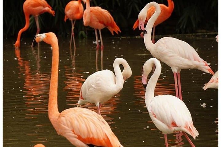 5 Days Budget Camping Kenya Safari