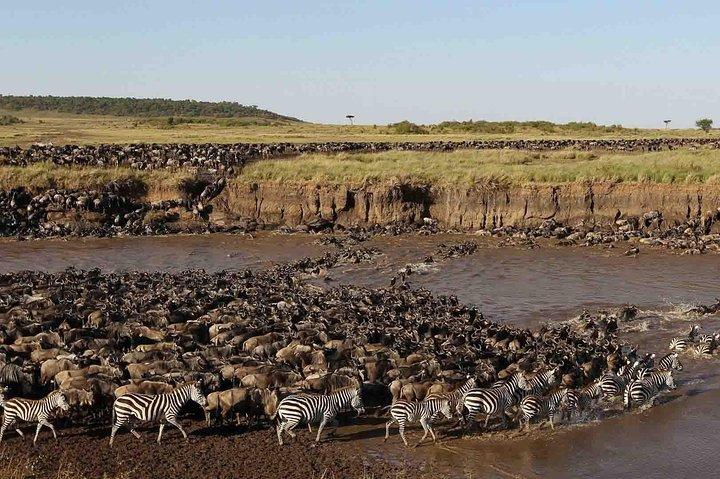 6 Days Luxury Tented Camping safari Adventure