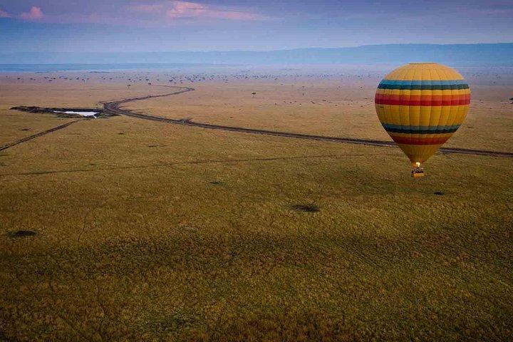 13 Days Kenya Tanzania Wildlife Safari
