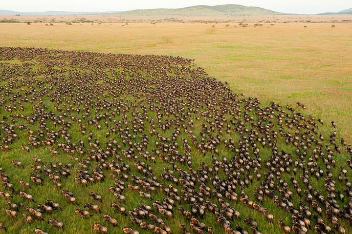 14 Days Kenya And Tanzania Budget Safari