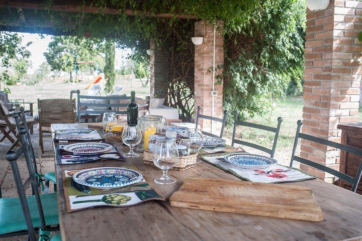 Farm Tour & Authentic Tuscan Lunch in Montepulciano