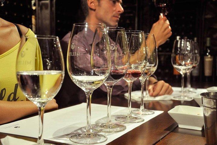 Small Group tour 3 wineries in Luján de Cuyo or Maipú with lunch
