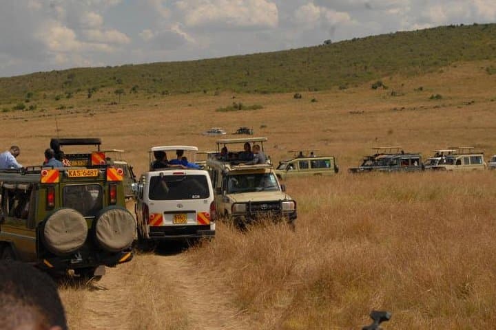 3 Days Masai Mara Lodge Private Safari Min 2 Pax