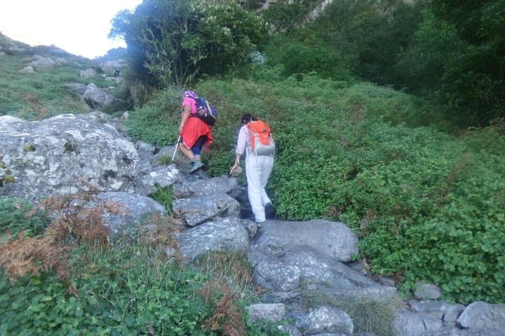 Nursery Ravine - Table Mountain