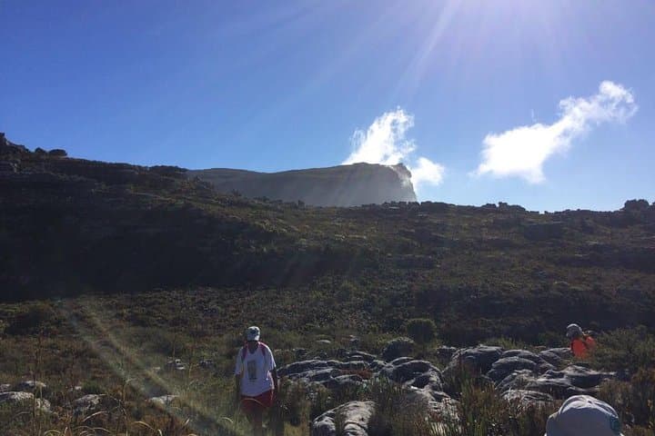 Nursery Ravine - Table Mountain