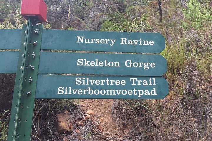 Nursery Ravine - Table Mountain
