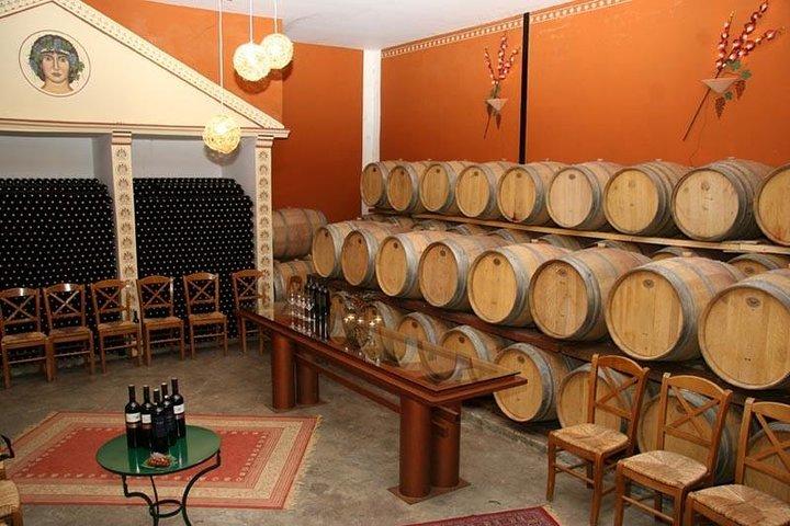 A world of wine-tasting in Nemea from Athens