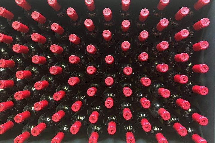 A world of wine-tasting in Nemea from Athens