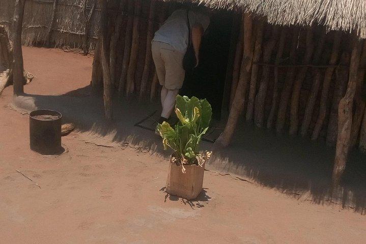 Cultural village tour