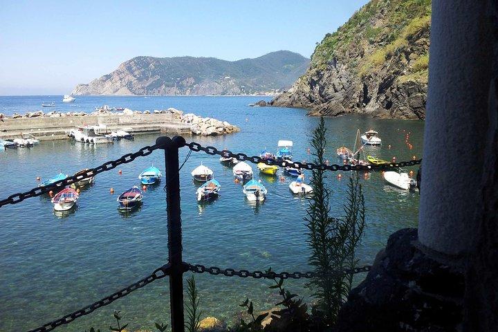 Cinque Terre Private Tour by Minivan and Ferry-Boat Shore excursion from Livorno