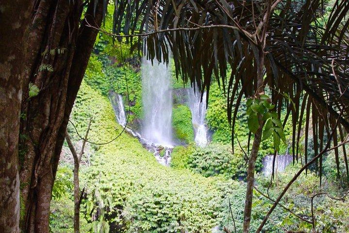 Best Sendang Gile and Tiu Kelep Waterfalls Tour