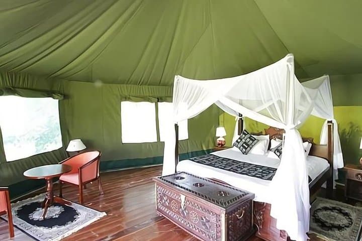 4 Days Maasai Mara and Lake Nakuru Budget Safari in Kenya