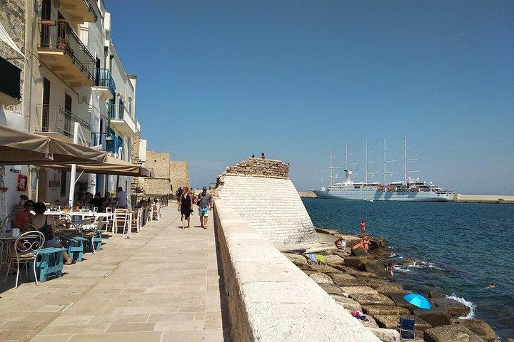 Private guided tour in Monopoli: walking through the old town