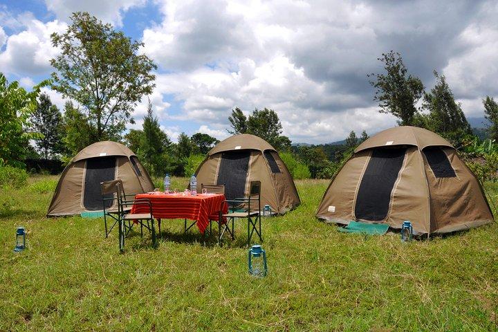5 Days Manyara, Serengeti & Ngorongoro Camping Safari from Arusha