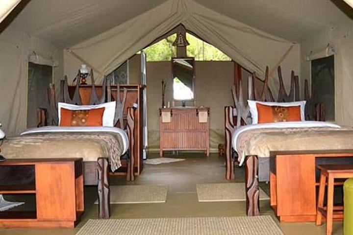 2 Days Awe-Inspiring Safari in Maasai Mara National Reserve, Kenya