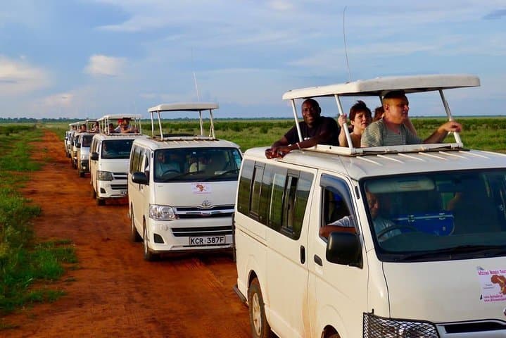 4 Days Masai Mara & L. Nakuru National Park Experience